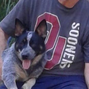 Meet your Posher, Stanley